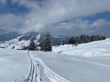 Alpstein dağlarının yamaçlarında ve İsviçre Alpleri 'nin taze dağlık kar örtüsünde, Nesslau - Obertoggenburg, İsviçre (Schweiz)
