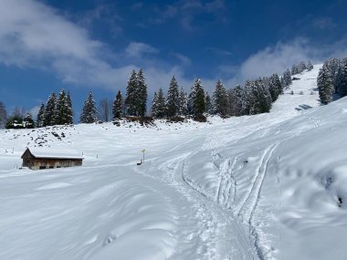 Alpstein dağlarının yamaçlarında ve İsviçre Alpleri 'nin taze dağlık kar örtüsünde, Nesslau - Obertoggenburg, İsviçre (Schweiz)