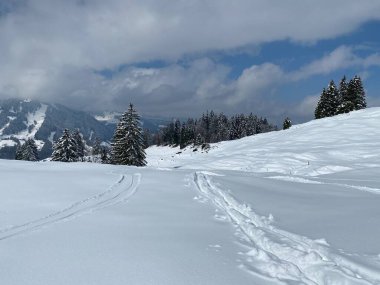 Alpstein dağlarının yamaçlarında ve İsviçre Alpleri 'nin taze dağlık kar örtüsünde, Nesslau - Obertoggenburg, İsviçre (Schweiz)