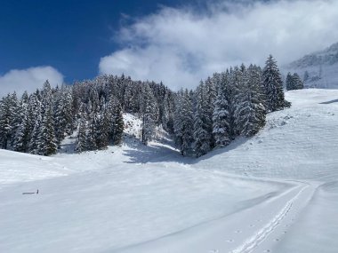 Alpstein dağlarının yamaçlarında ve İsviçre Alpleri 'nin taze dağlık kar örtüsünde, Nesslau - Obertoggenburg, İsviçre (Schweiz)