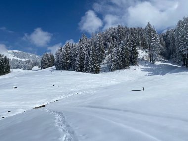 Alpstein dağlarının yamaçlarında ve İsviçre Alpleri 'nin taze dağlık kar örtüsünde, Nesslau - Obertoggenburg, İsviçre (Schweiz)