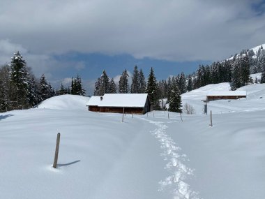 Alpstein dağlarının yamaçlarında ve İsviçre Alpleri 'nin taze dağlık kar örtüsünde, Nesslau - Obertoggenburg, İsviçre (Schweiz)