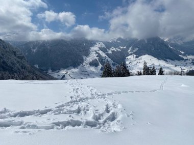 Alpstein dağlarının yamaçlarında ve İsviçre Alpleri 'nin taze dağlık kar örtüsünde, Nesslau - Obertoggenburg, İsviçre (Schweiz)