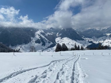 Alpstein dağlarının yamaçlarında ve İsviçre Alpleri 'nin taze dağlık kar örtüsünde, Nesslau - Obertoggenburg, İsviçre (Schweiz)
