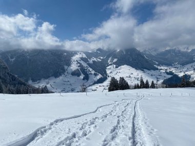 Alpstein dağlarının yamaçlarında ve İsviçre Alpleri 'nin taze dağlık kar örtüsünde, Nesslau - Obertoggenburg, İsviçre (Schweiz)