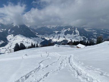 Alpstein dağlarının yamaçlarında ve İsviçre Alpleri 'nin taze dağlık kar örtüsünde, Nesslau - Obertoggenburg, İsviçre (Schweiz)