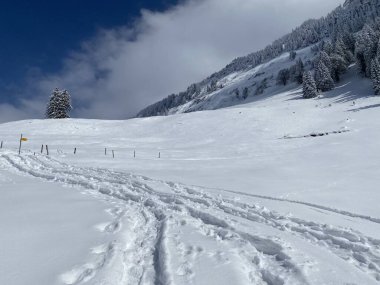 Alpstein dağlarının yamaçlarında ve İsviçre Alpleri 'nin taze dağlık kar örtüsünde, Nesslau - Obertoggenburg, İsviçre (Schweiz)