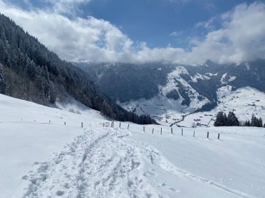 Alpstein dağlarının yamaçlarında ve İsviçre Alpleri 'nin taze dağlık kar örtüsünde, Nesslau - Obertoggenburg, İsviçre (Schweiz)