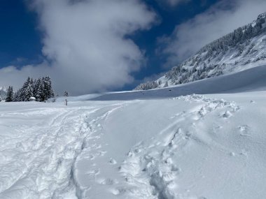 Alpstein dağlarının yamaçlarında ve İsviçre Alpleri 'nin taze dağlık kar örtüsünde, Nesslau - Obertoggenburg, İsviçre (Schweiz)