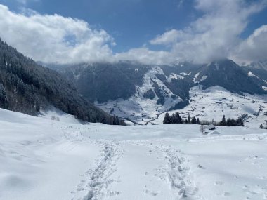 Alpstein dağlarının yamaçlarında ve İsviçre Alpleri 'nin taze dağlık kar örtüsünde, Nesslau - Obertoggenburg, İsviçre (Schweiz)