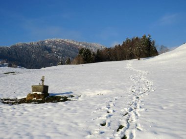Alpstein dağlarının yamaçlarında ve İsviçre Alpleri 'nin taze dağlık kar örtüsünde, Nesslau - Obertoggenburg, İsviçre (Schweiz)
