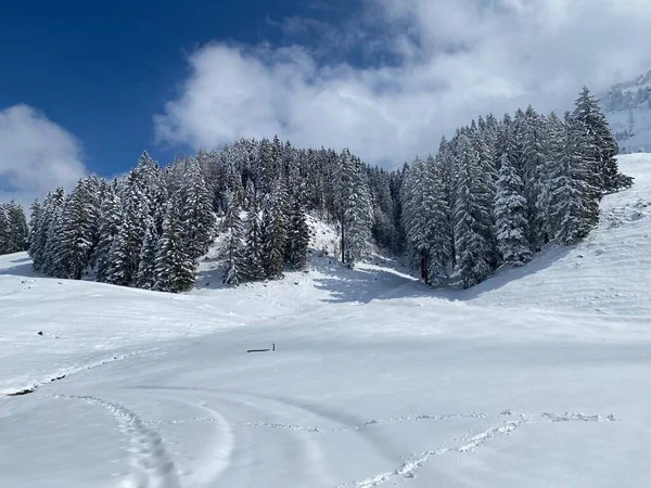 Wonderful Winter Hiking Trails Traces Slopes Alpstein Mountain Range Fresh — Stockfoto