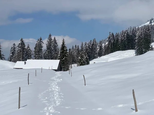 Wonderful Winter Hiking Trails Traces Slopes Alpstein Mountain Range Fresh — Fotografia de Stock