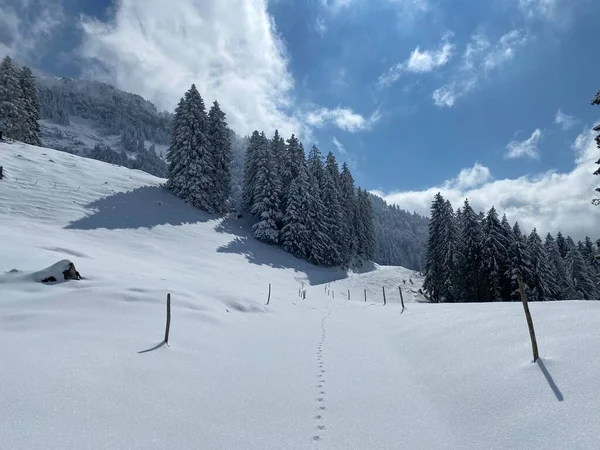 Wonderful Winter Hiking Trails Traces Slopes Alpstein Mountain Range Fresh — Fotografia de Stock