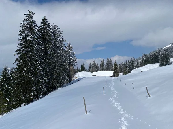 Prachtige Winterwandelwegen Sporen Hellingen Van Alpstein Bergketen Frisse Alpiene Sneeuwbedekking — Stockfoto