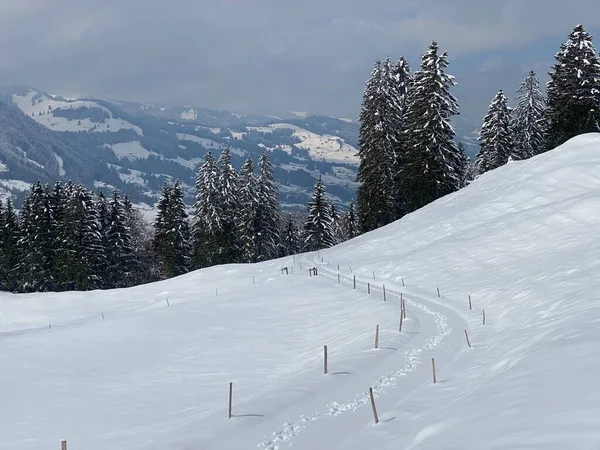Nádherná Zimní Turistické Stezky Stopy Svazích Pohoří Alpstein Čerstvém Vysokohorském — Stock fotografie