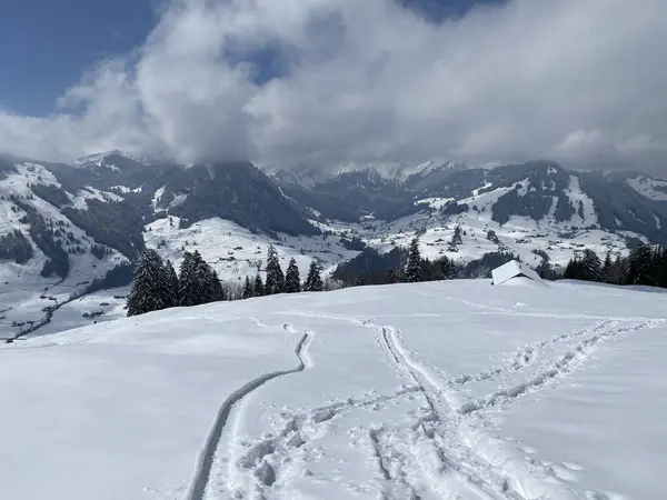 素晴らしい冬のハイキングコースとアルプシュタイン山脈の斜面やスイスアルプス ネスラウの新鮮な高山雪のカバーでの痕跡 Obertoggenburg Switzerland スイス — ストック写真