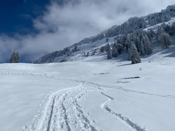 Underbara Vandringsleder Och Spår Vintern Alpina Bergskedjans Sluttningar Och Det — Stockfoto