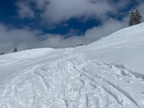 在阿尔卑斯泰因山脉的斜坡上 以及在瑞士尼斯劳 奥伯托根堡 施韦兹 的高山雪地上 都有极好的冬季远足小径和小径 — 图库照片