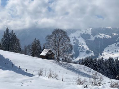 İsviçre çayırlarındaki yerli dağ kulübeleri ve ahşap ahırlar taze beyaz kar örtüsüyle kaplıdır, Nesslau - Obertoggenburg, İsviçre (Schweiz)