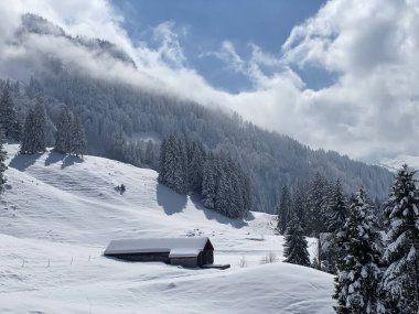 İsviçre çayırlarındaki yerli dağ kulübeleri ve ahşap ahırlar taze beyaz kar örtüsüyle kaplıdır, Nesslau - Obertoggenburg, İsviçre (Schweiz)