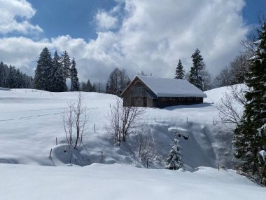 İsviçre çayırlarındaki yerli dağ kulübeleri ve ahşap ahırlar taze beyaz kar örtüsüyle kaplıdır, Nesslau - Obertoggenburg, İsviçre (Schweiz)