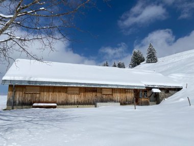 İsviçre çayırlarındaki yerli dağ kulübeleri ve ahşap ahırlar taze beyaz kar örtüsüyle kaplıdır, Nesslau - Obertoggenburg, İsviçre (Schweiz)