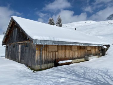 İsviçre çayırlarındaki yerli dağ kulübeleri ve ahşap ahırlar taze beyaz kar örtüsüyle kaplıdır, Nesslau - Obertoggenburg, İsviçre (Schweiz)
