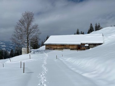 İsviçre çayırlarındaki yerli dağ kulübeleri ve ahşap ahırlar taze beyaz kar örtüsüyle kaplıdır, Nesslau - Obertoggenburg, İsviçre (Schweiz)