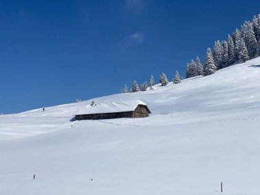 İsviçre çayırlarındaki yerli dağ kulübeleri ve ahşap ahırlar taze beyaz kar örtüsüyle kaplıdır, Nesslau - Obertoggenburg, İsviçre (Schweiz)