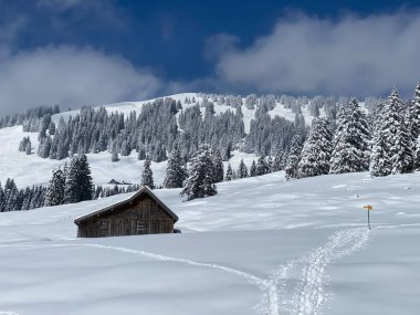 İsviçre çayırlarındaki yerli dağ kulübeleri ve ahşap ahırlar taze beyaz kar örtüsüyle kaplıdır, Nesslau - Obertoggenburg, İsviçre (Schweiz)