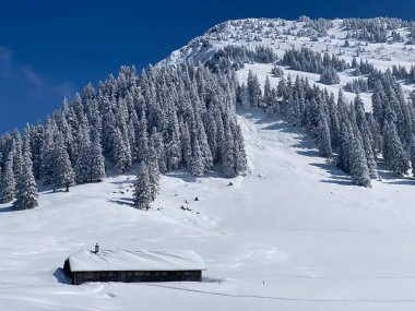 İsviçre çayırlarındaki yerli dağ kulübeleri ve ahşap ahırlar taze beyaz kar örtüsüyle kaplıdır, Nesslau - Obertoggenburg, İsviçre (Schweiz)