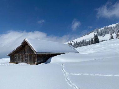 İsviçre çayırlarındaki yerli dağ kulübeleri ve ahşap ahırlar taze beyaz kar örtüsüyle kaplıdır, Nesslau - Obertoggenburg, İsviçre (Schweiz)