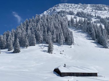 İsviçre çayırlarındaki yerli dağ kulübeleri ve ahşap ahırlar taze beyaz kar örtüsüyle kaplıdır, Nesslau - Obertoggenburg, İsviçre (Schweiz)
