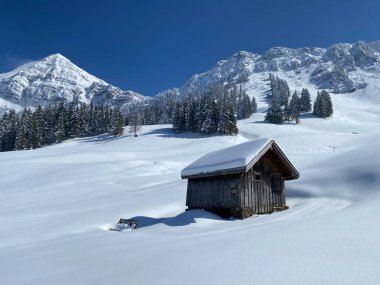 İsviçre çayırlarındaki yerli dağ kulübeleri ve ahşap ahırlar taze beyaz kar örtüsüyle kaplıdır, Nesslau - Obertoggenburg, İsviçre (Schweiz)