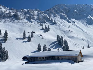 İsviçre çayırlarındaki yerli dağ kulübeleri ve ahşap ahırlar taze beyaz kar örtüsüyle kaplıdır, Nesslau - Obertoggenburg, İsviçre (Schweiz)