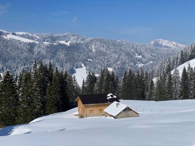 İsviçre çayırlarındaki yerli dağ kulübeleri ve ahşap ahırlar taze beyaz kar örtüsüyle kaplıdır, Nesslau - Obertoggenburg, İsviçre (Schweiz)