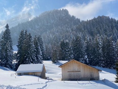İsviçre çayırlarındaki yerli dağ kulübeleri ve ahşap ahırlar taze beyaz kar örtüsüyle kaplıdır, Nesslau - Obertoggenburg, İsviçre (Schweiz)