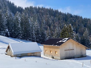 İsviçre çayırlarındaki yerli dağ kulübeleri ve ahşap ahırlar taze beyaz kar örtüsüyle kaplıdır, Nesslau - Obertoggenburg, İsviçre (Schweiz)