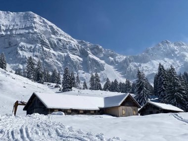İsviçre çayırlarındaki yerli dağ kulübeleri ve ahşap ahırlar taze beyaz kar örtüsüyle kaplıdır, Nesslau - Obertoggenburg, İsviçre (Schweiz)