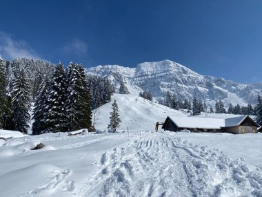 İsviçre çayırlarındaki yerli dağ kulübeleri ve ahşap ahırlar taze beyaz kar örtüsüyle kaplıdır, Nesslau - Obertoggenburg, İsviçre (Schweiz)