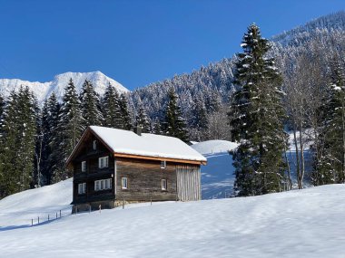 İsviçre çayırlarındaki yerli dağ kulübeleri ve ahşap ahırlar taze beyaz kar örtüsüyle kaplıdır, Nesslau - Obertoggenburg, İsviçre (Schweiz)