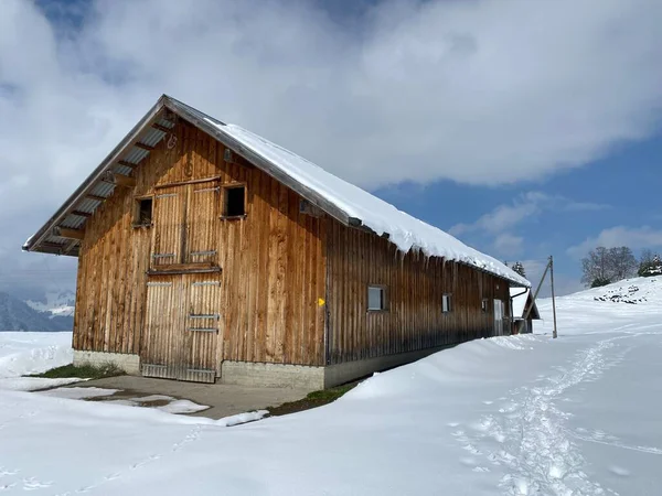 スイスの牧草地に新鮮な白い雪に覆われた先住民の高山の小屋と木製の牛の厩舎 Nesslau Obertoggenburg スイス スイス — ストック写真