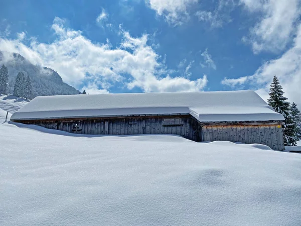 Cabañas Alpinas Indígenas Establos Madera Pastos Suizos Cubiertos Nieve Blanca — Foto de Stock