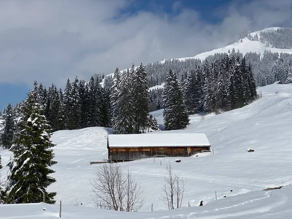 İsviçre çayırlarındaki yerli dağ kulübeleri ve ahşap ahırlar taze beyaz kar örtüsüyle kaplıdır, Nesslau - Obertoggenburg, İsviçre (Schweiz)