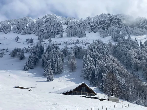 İsviçre çayırlarındaki yerli dağ kulübeleri ve ahşap ahırlar taze beyaz kar örtüsüyle kaplıdır, Nesslau - Obertoggenburg, İsviçre (Schweiz)