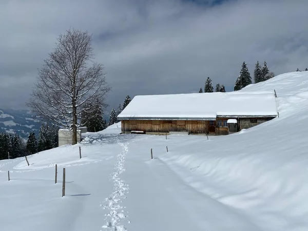 İsviçre çayırlarındaki yerli dağ kulübeleri ve ahşap ahırlar taze beyaz kar örtüsüyle kaplıdır, Nesslau - Obertoggenburg, İsviçre (Schweiz)