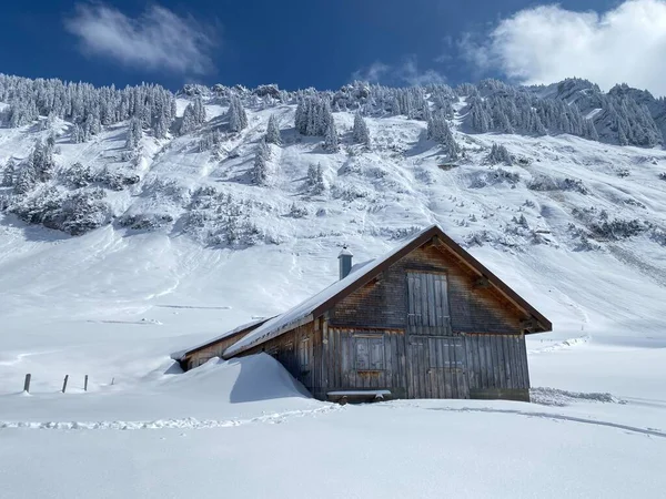 Inheemse Hutten Houten Rundveestallen Zwitserse Weiden Bedekt Met Verse Witte — Stockfoto