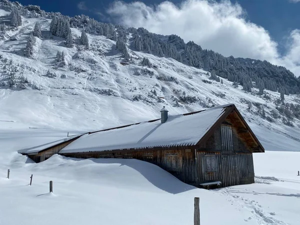スイスの牧草地に新鮮な白い雪に覆われた先住民の高山の小屋と木製の牛の厩舎 Nesslau Obertoggenburg スイス スイス — ストック写真