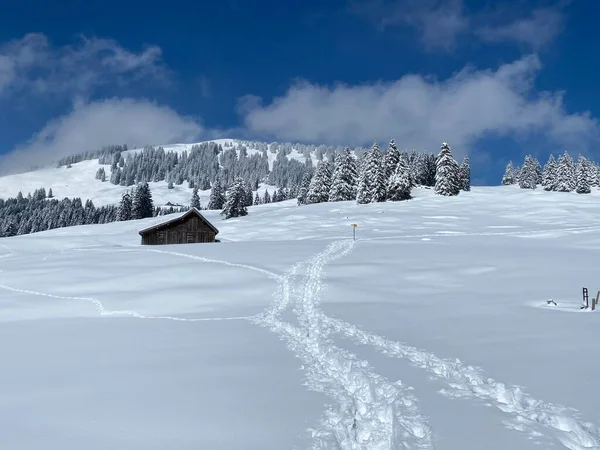 Cabañas Alpinas Indígenas Establos Madera Pastos Suizos Cubiertos Nieve Blanca —  Fotos de Stock